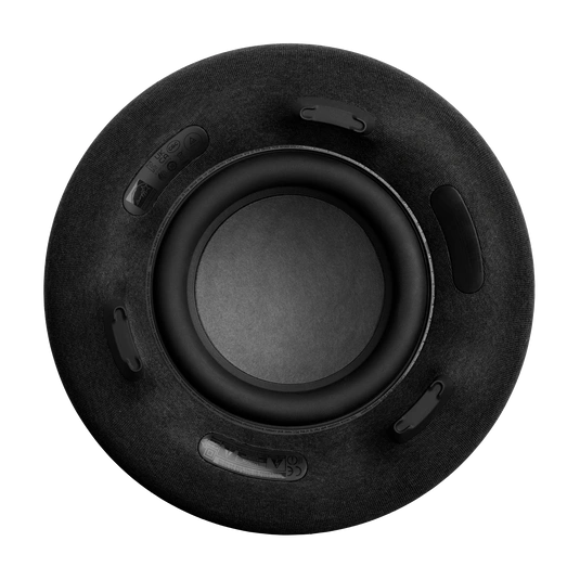 Акустическая система Harman/Kardon Aura Studio 4 Black. Фото 5