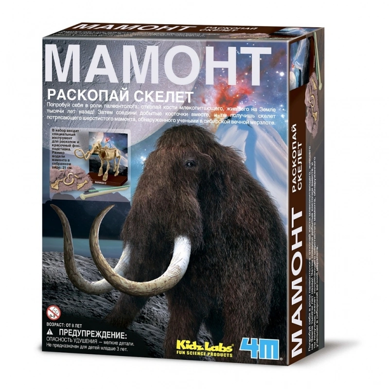 Набор 4M Скелет Мамонта (00-03236). Фото 1