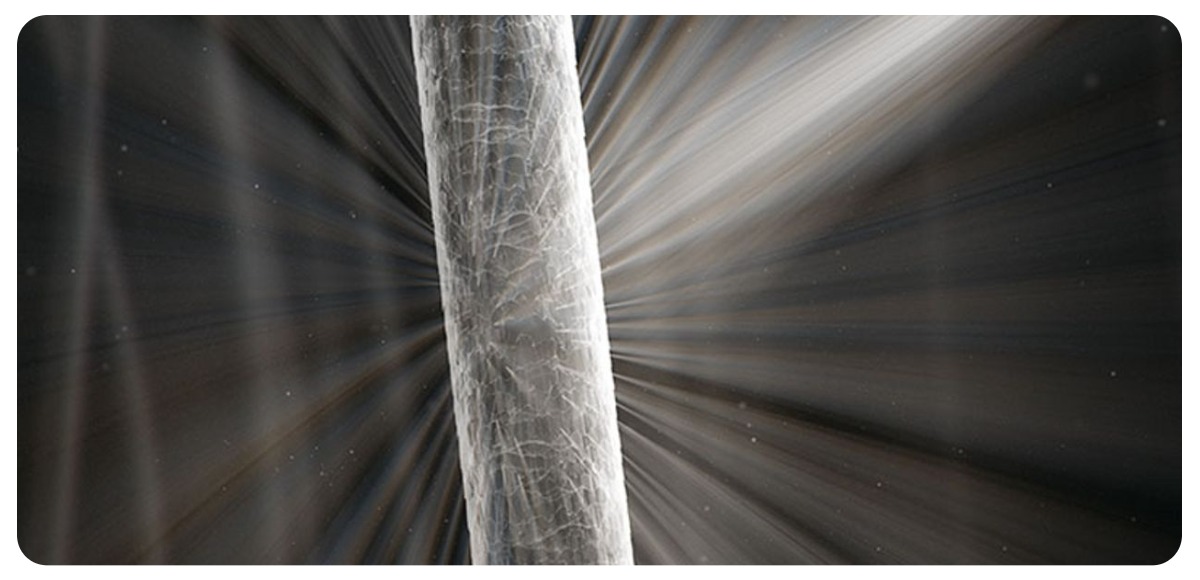 Dyson-Supersonic-HD15-04