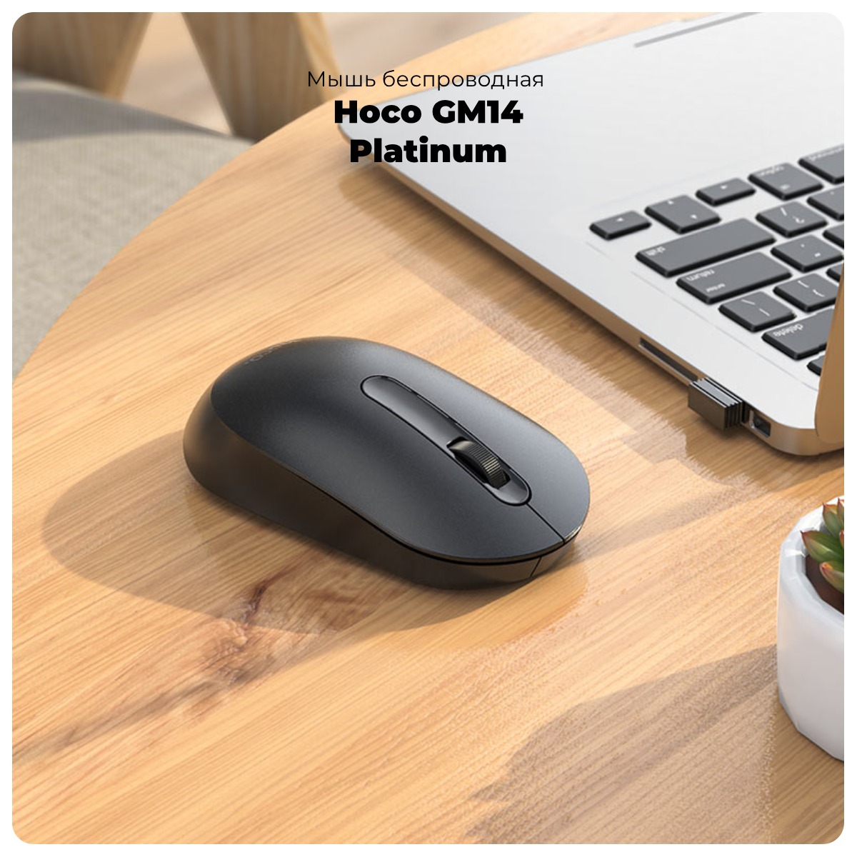 Hoco-GM14-Platinum-01