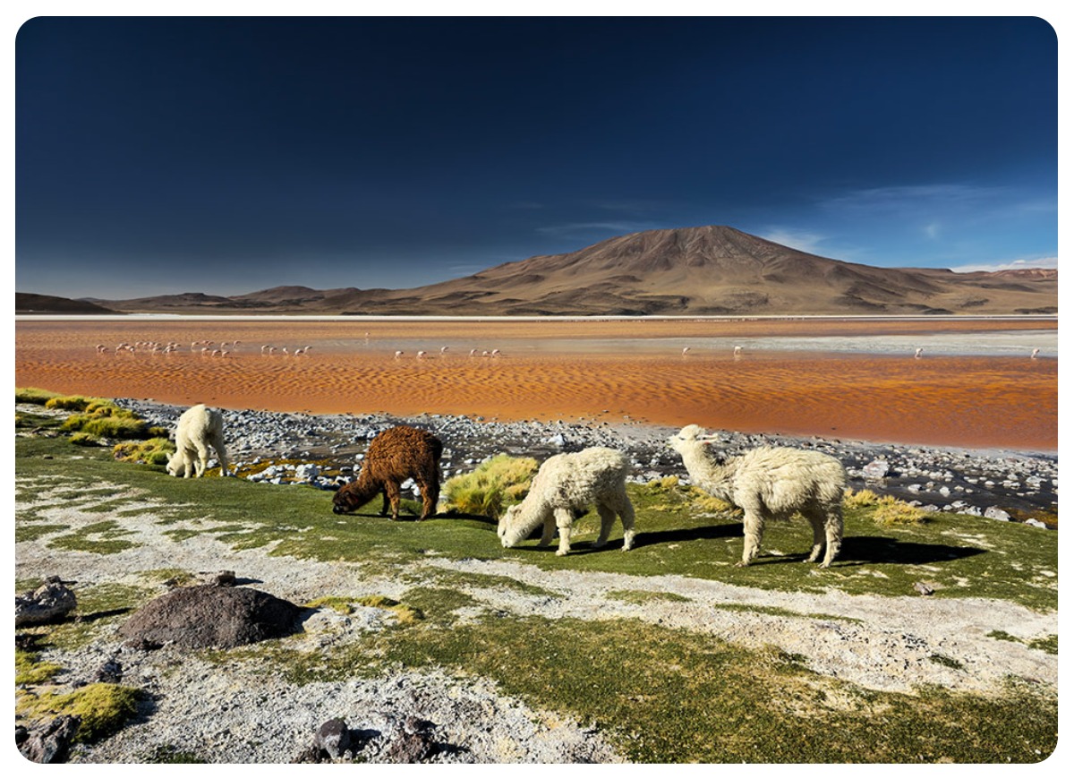 Samsung-Galaxy-S24-Ultra-09