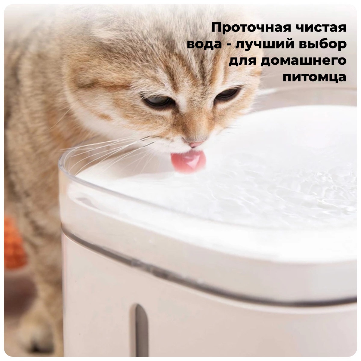 XiaoMi-Mijia-Smart-Pet-Water-Dispenser-XWWF01MG-02