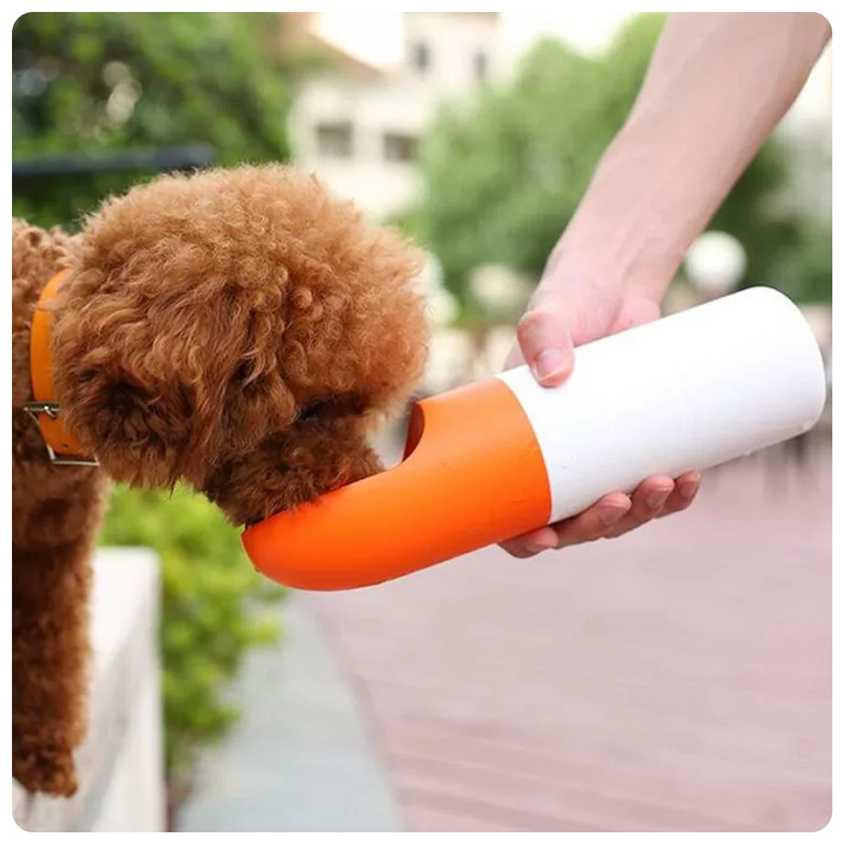 Moestar-Rocket-Pet-Multifunctional-Portable-Bottle-MS0010001-02