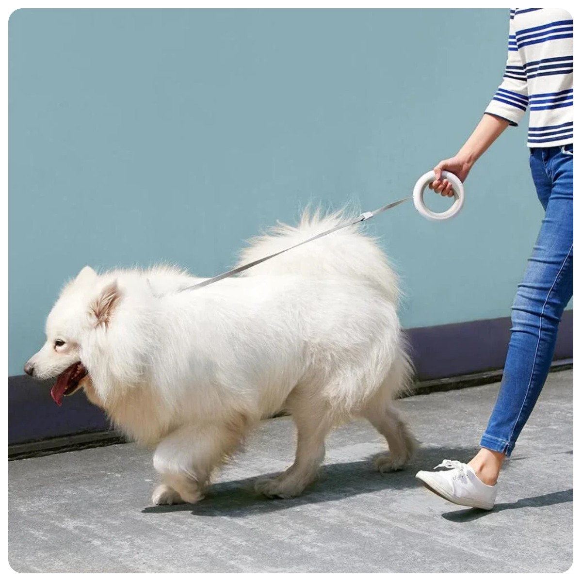 Moestar-Ufo-Retractable-Leash-2-Air-03