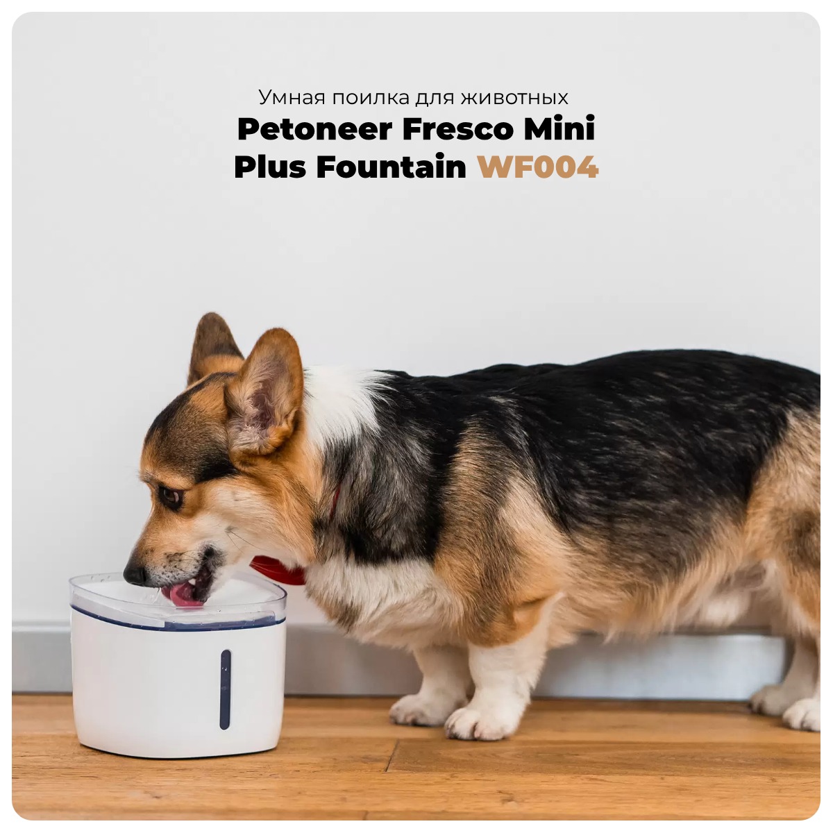 Petoneer-Fresco-Mini-Plus-Fountain-WF004-01