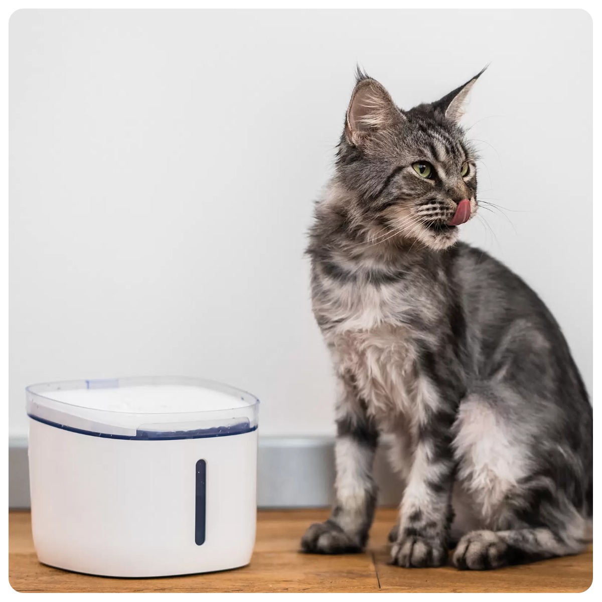 Petoneer-Fresco-Mini-Plus-Fountain-WF004-02