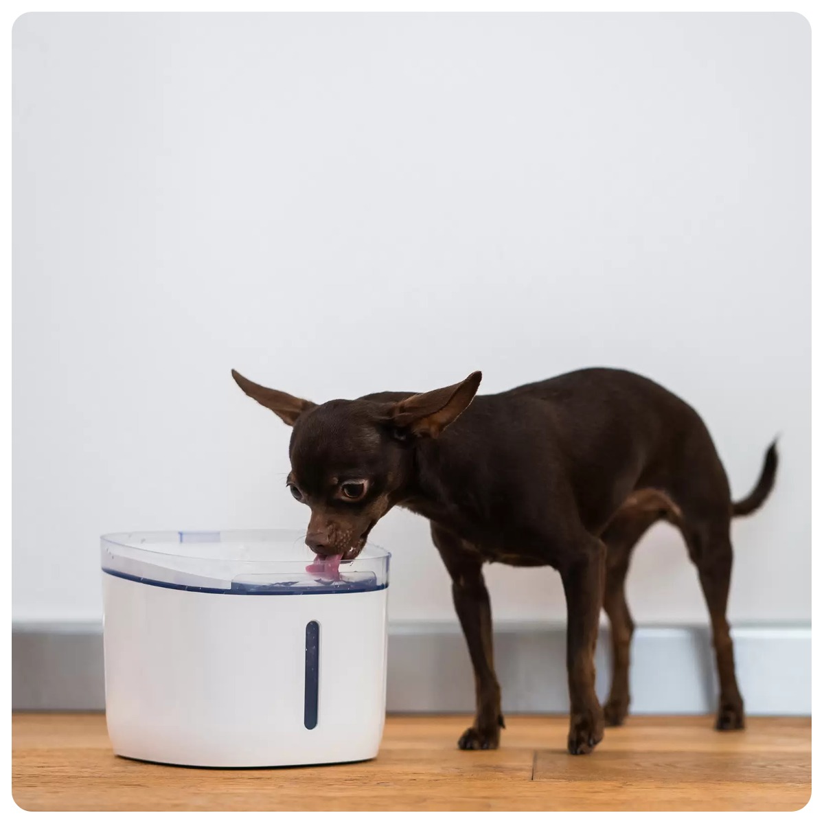 Petoneer-Fresco-Mini-Plus-Fountain-WF004-03